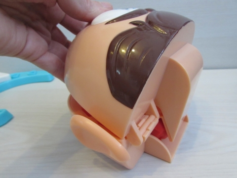 20160103193513 Мистер зубастик как делать зубы