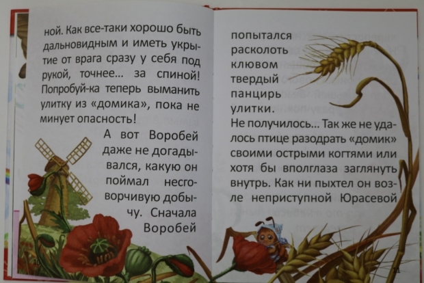 зачем нужен веер с буквами учителю. 1574515123 0. зачем нужен веер с буквами учителю фото. зачем нужен веер с буквами учителю-1574515123 0. картинка зачем нужен веер с буквами учителю. картинка 1574515123 0.