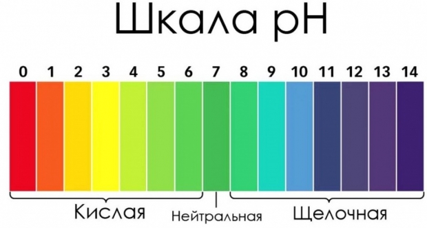 верховой торф кислый для чего. Смотреть фото верховой торф кислый для чего. Смотреть картинку верховой торф кислый для чего. Картинка про верховой торф кислый для чего. Фото верховой торф кислый для чего